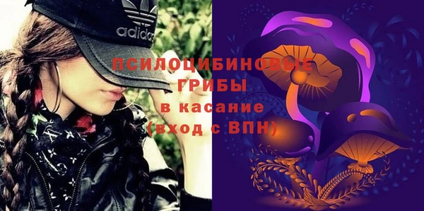 mdpv Лабытнанги