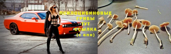 mdpv Лабытнанги