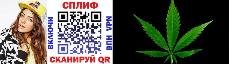 цены   Суздаль  Марихуана планчик 
